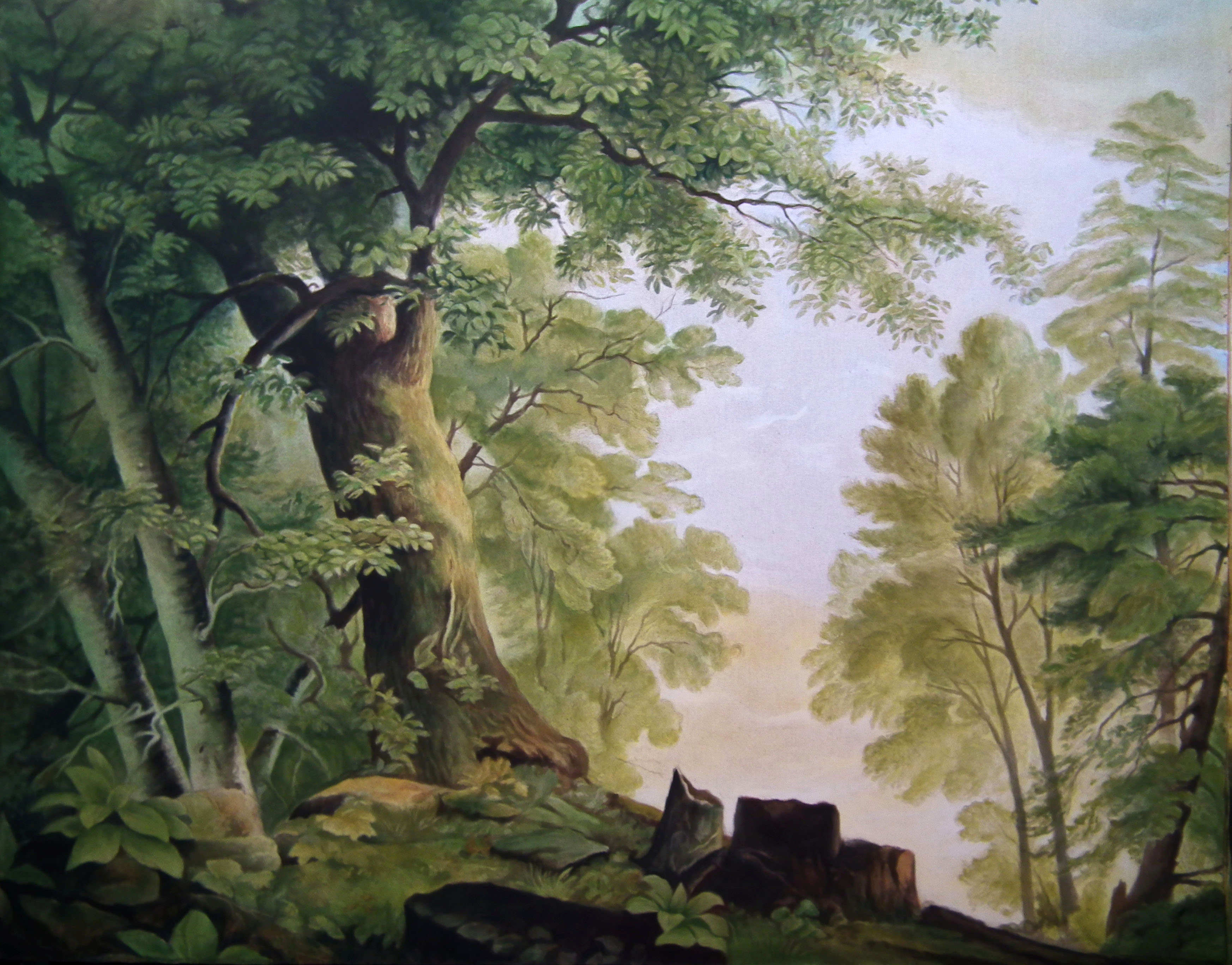  Backcloth for Farinelli and the King 